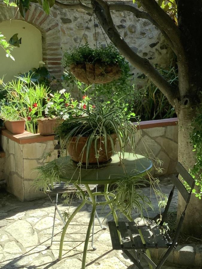 Mas Grandiflora Villa Espira-de-l'Agly Bagian luar foto